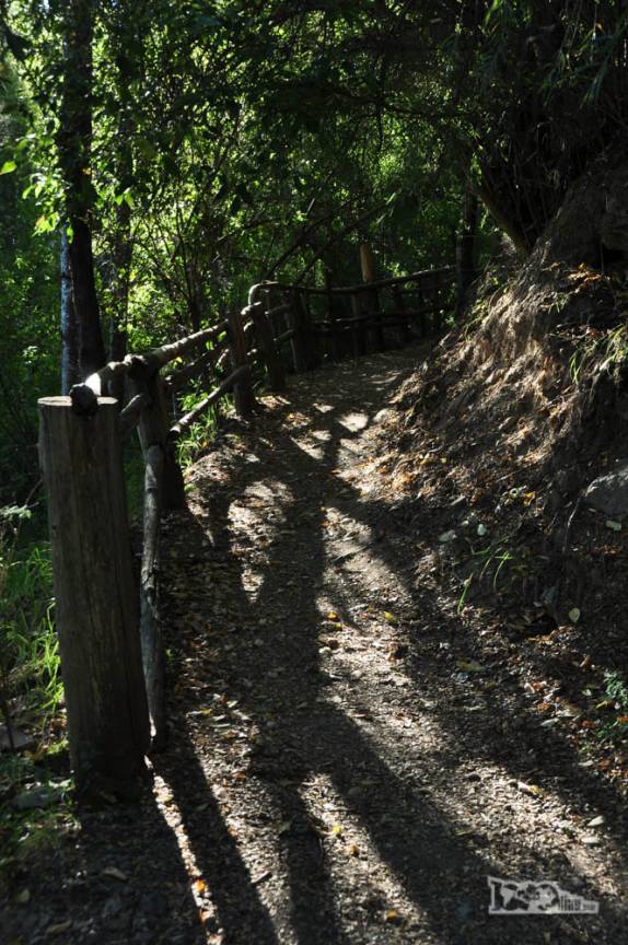 Trilha que leva à base da Cascata Mallin Ahogado, região de El Bolsón, na Argentina